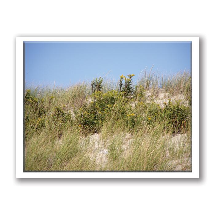 Photo Greeting Card Of Beach Dunes by Kurt Neumann